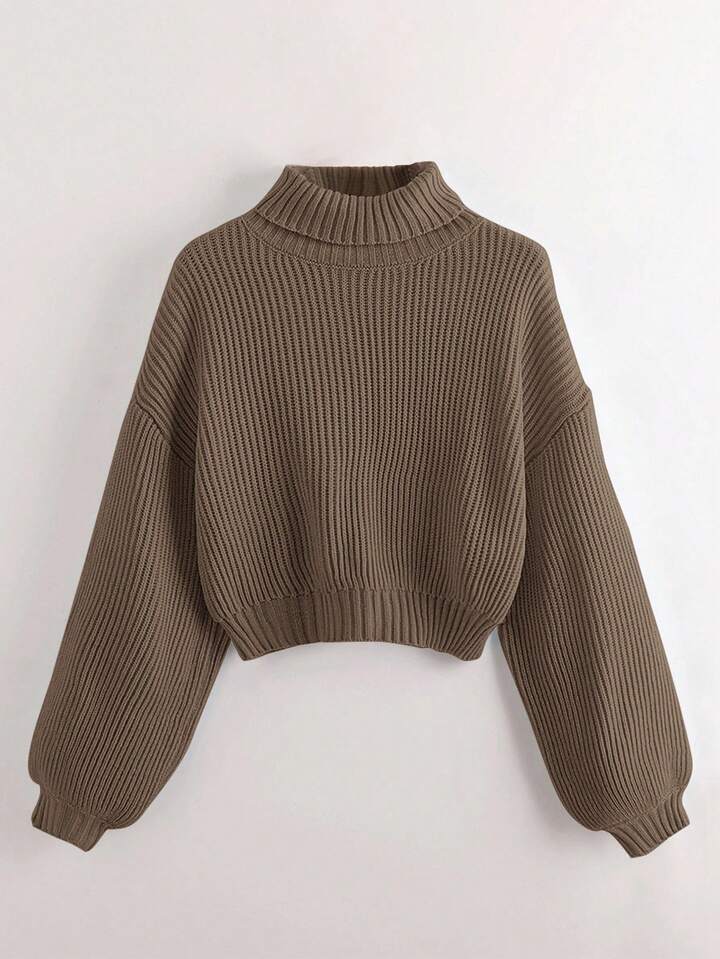 Casual Solid Color Turtleneck Sweater, Autumn/Winter
