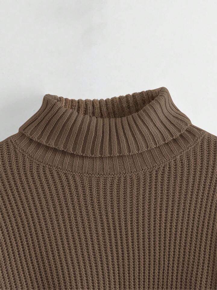 Casual Solid Color Turtleneck Sweater, Autumn/Winter